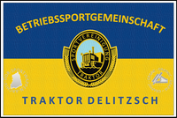 BSG Traktor Delitzsch Fahne