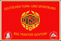 BSG Traktor Gostorf Fahne