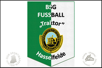 BSG Traktor Hasselfelde Wimpel Sektion Fussball