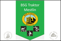 BSG Traktor Mestlin Wimpel Sektionen