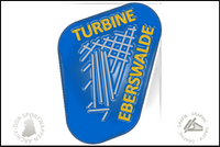 BSG Turbine Eberswalde Pin