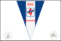 BSG Turbine Eberswalde Wimpel