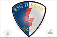 BSG Turbine Halle Pin Variante