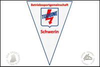 BSG Turbine Schwerin Wimpel