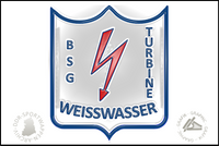 BSG Turbine Weisswasser Pin