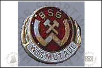 BSG Wismut Aue Pin Variante